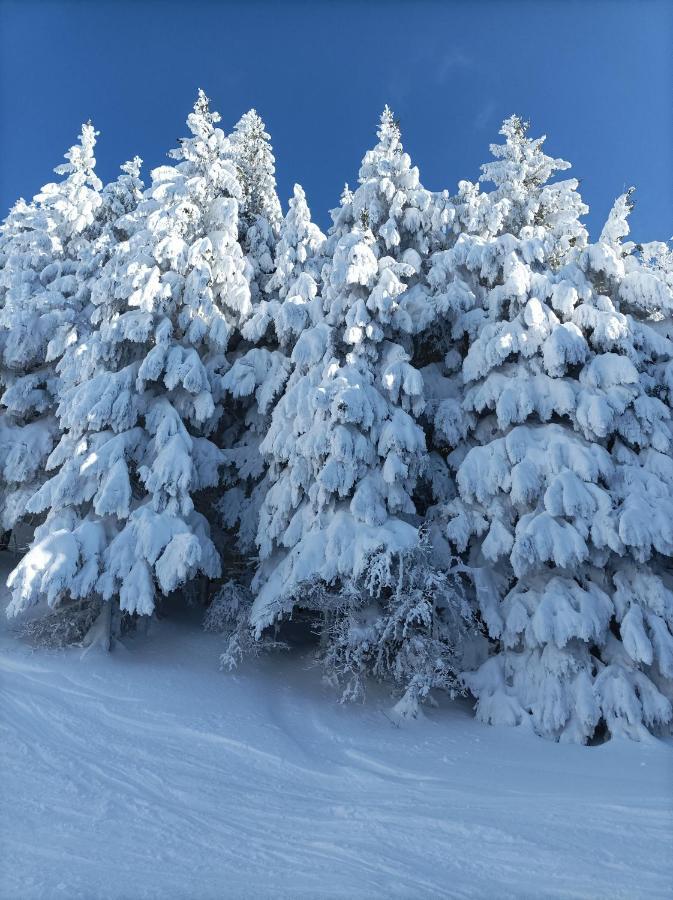 Monolocale Sulle Piste Alle Polle Riolunato Exterior foto